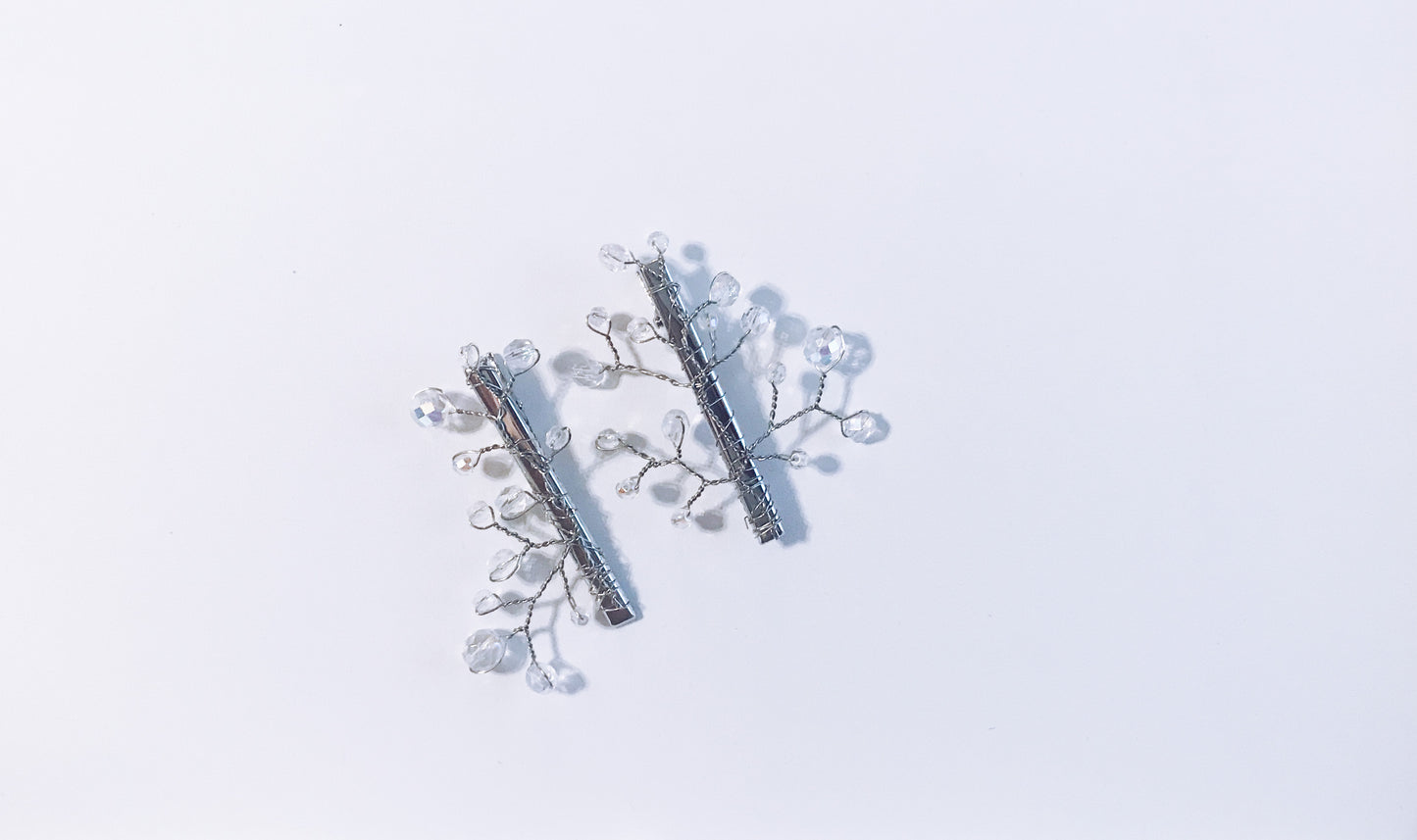 Silver Crystal Clips